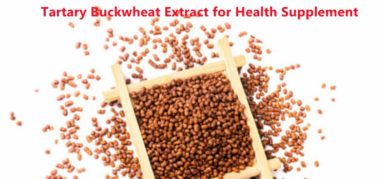 Tartary Buckwheat Extract.png